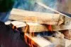Pairing the Best Smoking Woods for Popular Cuts of Meat