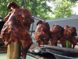 Best Grills For Beer Can Chicken