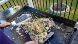 Best Outdoor Griddles